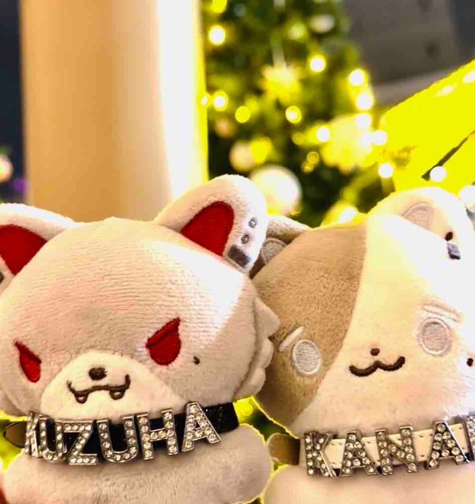 友達とイルミネーション見てきたよ！リナリア聞けた！