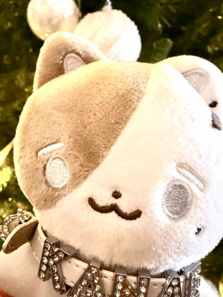 友達とイルミネーション見てきたよ！リナリア聞けた！