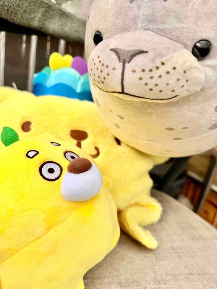 日向ぼっこしとったらごまふーも来たわ☀️🦭🍋
