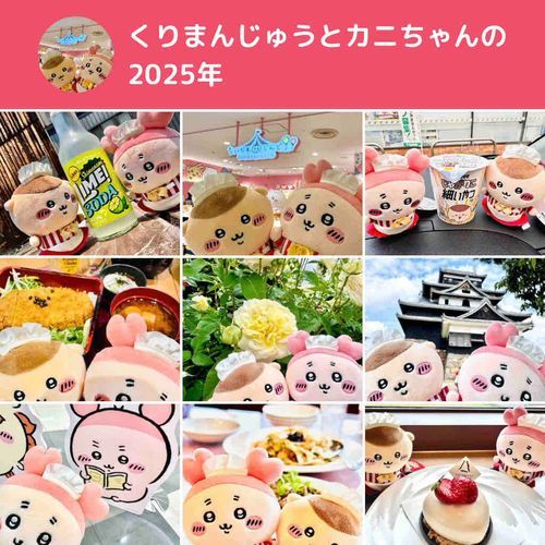 今年は沢山色んなところ行ったね！
来年も沢山遊ぶぞ！