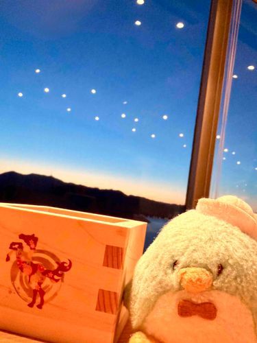 おはようー！
明けましておめでとうございます！
サムはお屠蘇飲みながら初日の出待機だよ！