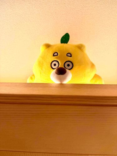 おはよー！