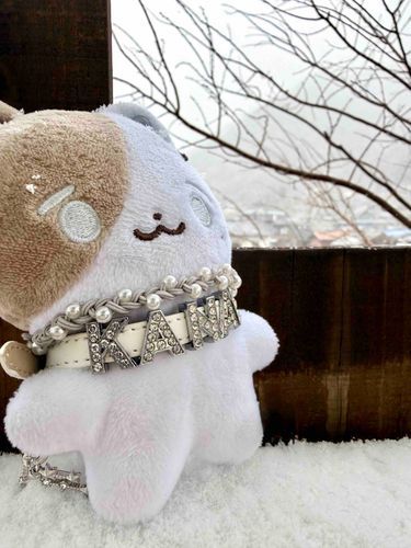 雪が少し積もってきたよ⛄️