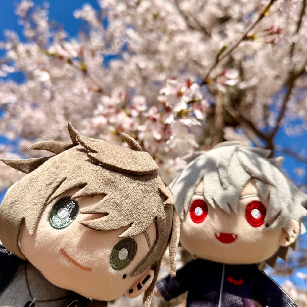 今年のお花見🌸