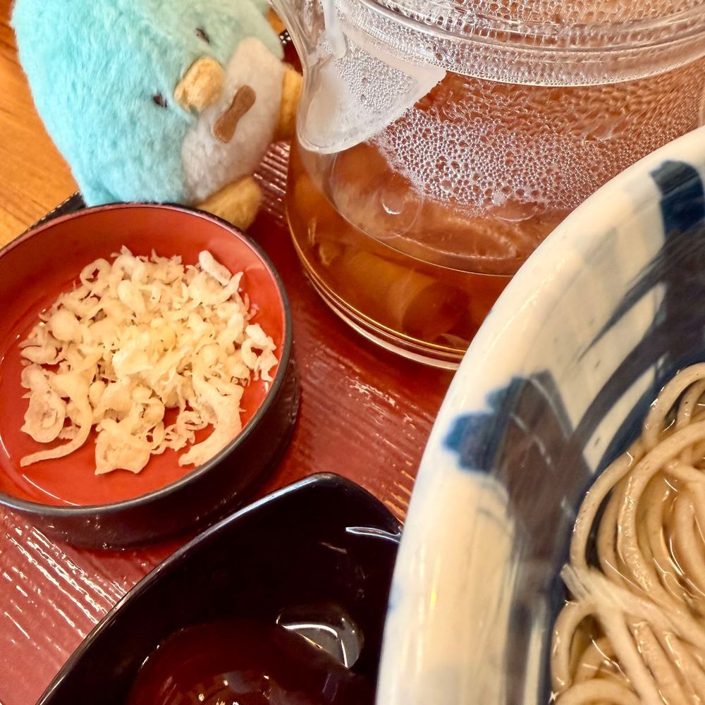 かけそば美味しかった！追い鰹だしをかけると凄くいい香りが広がるよ！