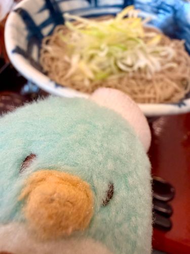 かけそば美味しかった！追い鰹だしをかけると凄くいい香りが広がるよ！