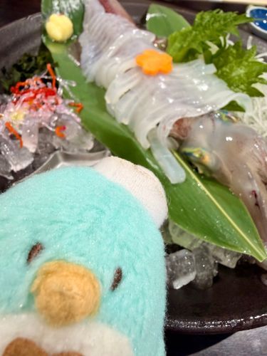 僕サム！こっちは境港のイカ刺し！足にレモン汁かけるとうねうね動くよ！ちょっと怖い！