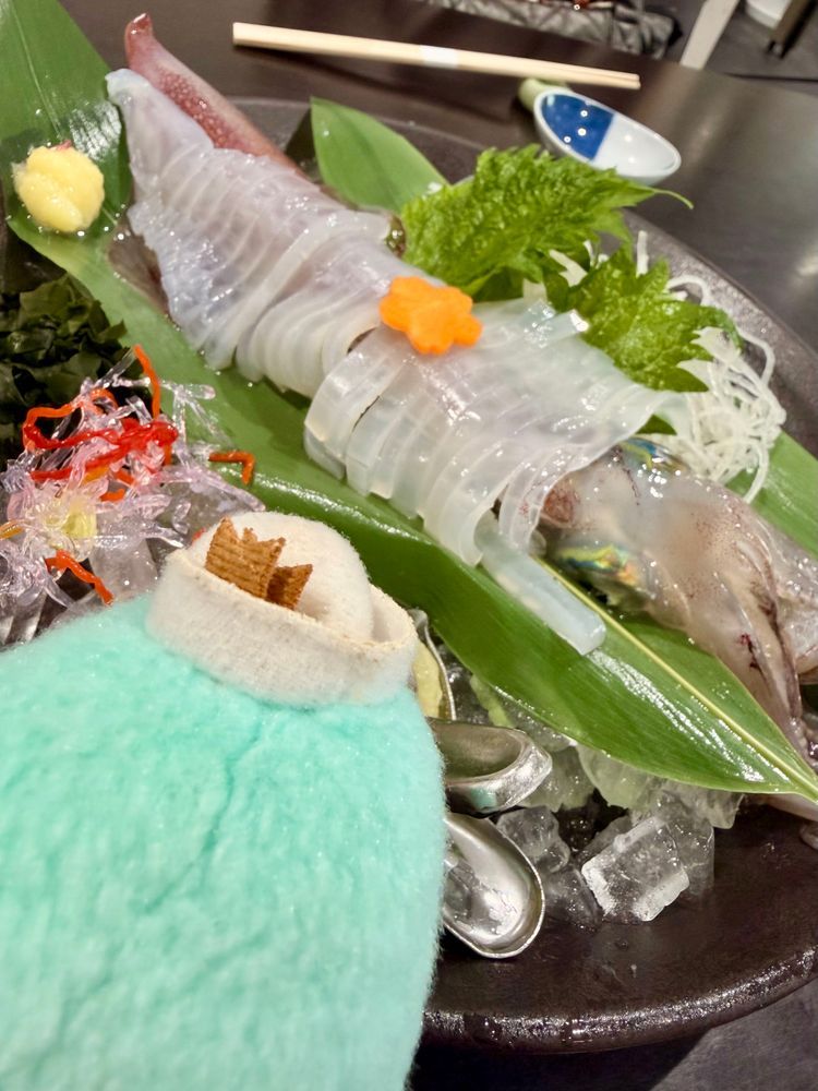 僕サム！こっちは境港のイカ刺し！足にレモン汁かけるとうねうね動くよ！ちょっと怖い！