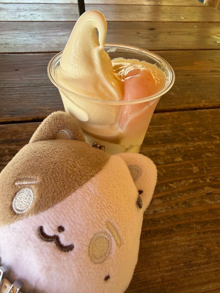 旅行楽しかったね！の思い出。メノウの輪切り見たり温玉ソフトとか食べたよ！