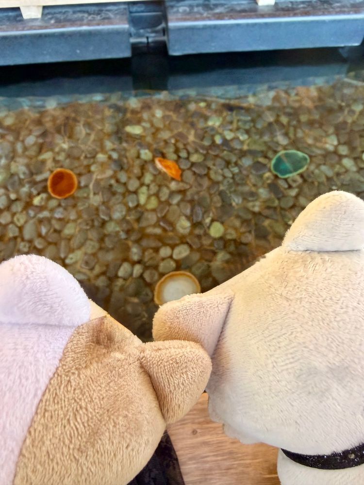 旅行楽しかったね！の思い出。メノウの輪切り見たり温玉ソフトとか食べたよ！