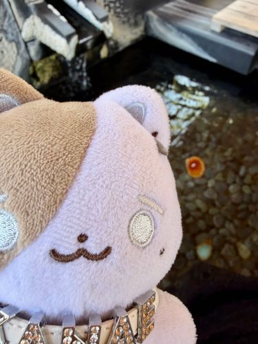 旅行楽しかったね！の思い出。メノウの輪切り見たり温玉ソフトとか食べたよ！