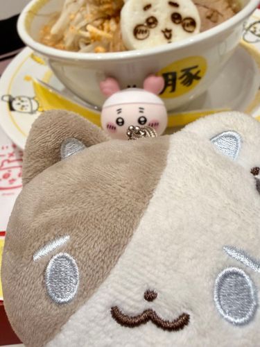 今日はお友達と豚にきたよ！