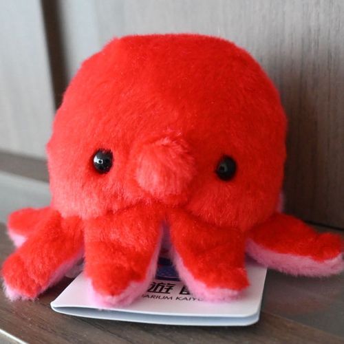 海遊館生まれのタコのタピオカです🐙🧋
他にもお友達がたくさんいます
使い方がまだわからない