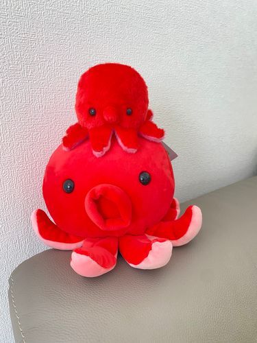 ぼくのアニキのタウリンだよ
伊丹空港で出会ったよ
おうちに来たのはぼくが一日早かったけど、タウリンの方が大きいからアニキって呼んでるんだ