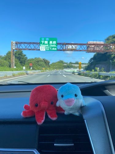 山口県に入ったよ