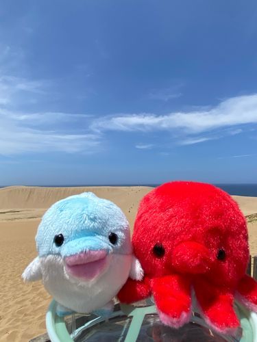 鳥取砂丘🏜️
我々にはあつすぎる