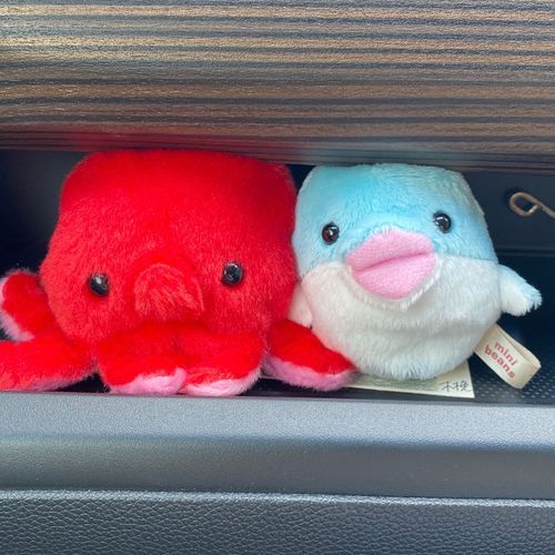 おめめうるうるきらきら可愛いタピカル🐙🐬