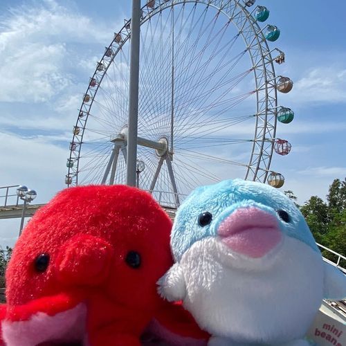お日様も近くてからだむき出しで
我々は干物になるところだったよ