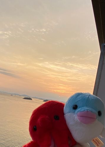 お食事してたから1番キレーな夕陽のタイミングで撮れなかったけど
ずっと見たかった夕焼け空を旅の最後に見れてよかったよ🌇