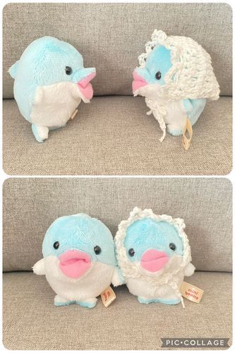 カルピスには片割れのきょうだいがいるよ🐬
ご主人のマミィのところで毛糸のお洋服のモデルさんをしてるんだ
なまえは『リップ』さん
（本当はマミィに『くちびる』という名前をつけられたけど、猛抗議して改名してもらったらしいよ）