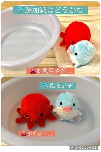 タピオカ&カルピス
初めてのおふろ♨️