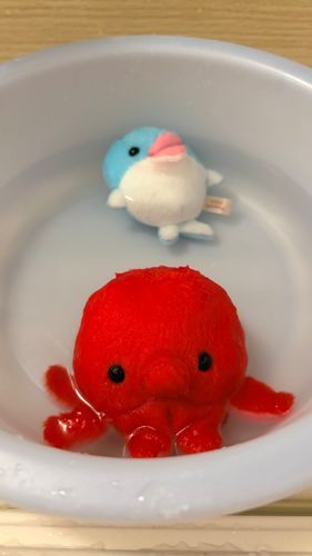 タピオカがあがりたそうにこちらを見ている
