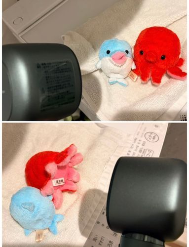 ドライヤーの風に飛ばされそうなのをがんばって耐えてる