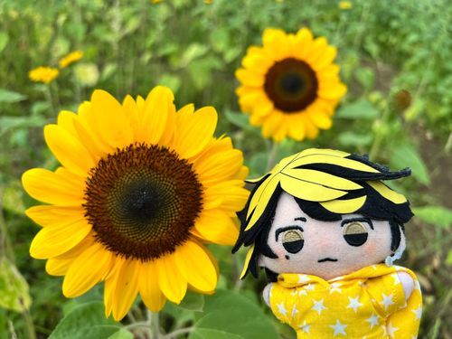 このあと、土砂降りだったぜ！