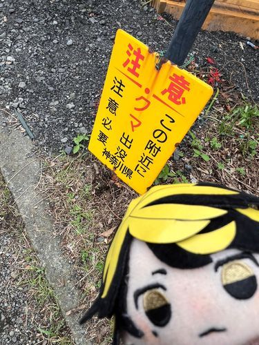 キャンプ⛺行きてぇなー