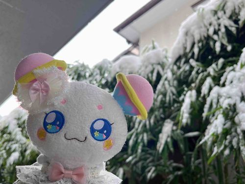 ゆきフワ！❄
