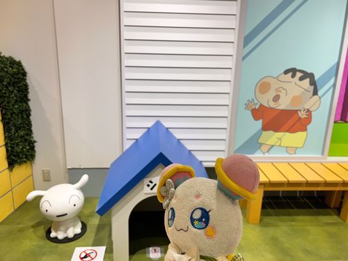 おじゃましますフワ〜