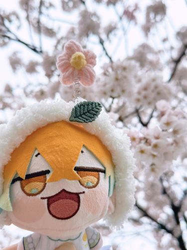 花よりせくすぃーなおれ
