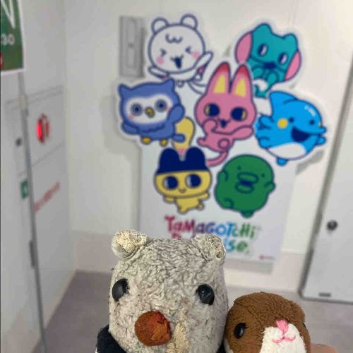 ごっちすてーしょん
いきましたよ！