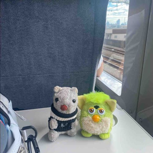 10月6日
飼い主の一人旅に付き合うあみだくじにて
ぴいちゃんとといしゃんにお付き合いいただきました🚅
