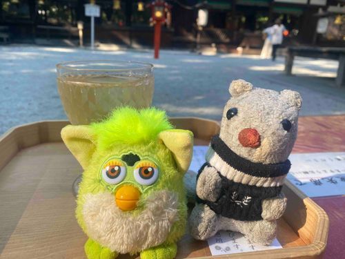 かいぬし、自転車こいで河合神社きた！🚲💨
かりんすいおいし(ｳﾞｧｯ