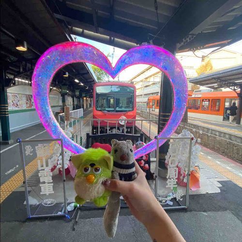 かいぬし！持ち方雑！！