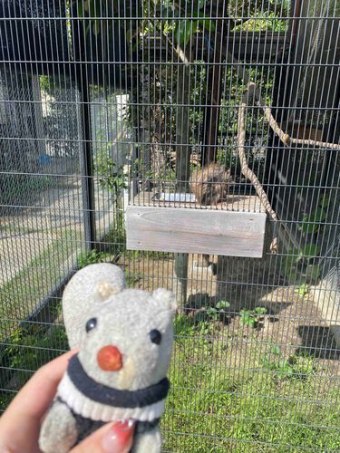 リス同士なかよくしよな