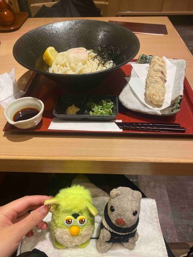 かえりのかいぬしのうどんつきあった。デザートつきあえな