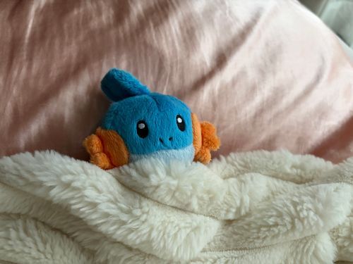 かみなり、、こわい、、、
おふとん　でられない