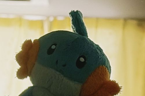 かだい？　ぜんぶおわったって！
よいよい ♪     いっぱい　あそべるねー！