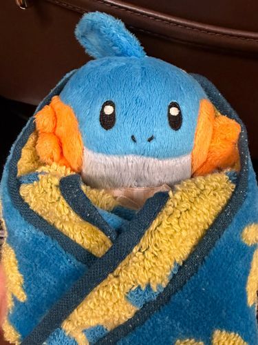 はんかちで　つつんでもらったら、
じゅうにひとえ？　みたいだねって　いってもらえたよ！