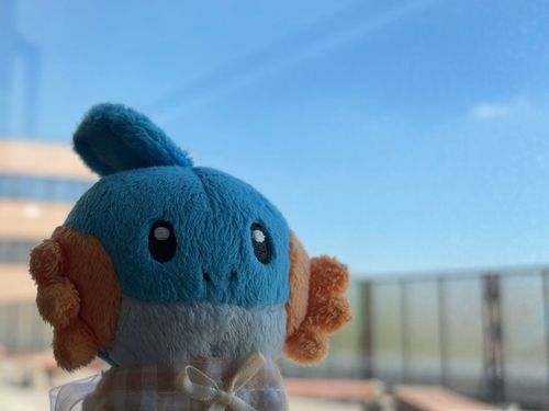 むーちゃんよ、たいしを　いだけ！