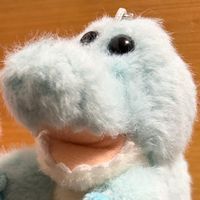 🔮🧸れいり〜🧸🔮