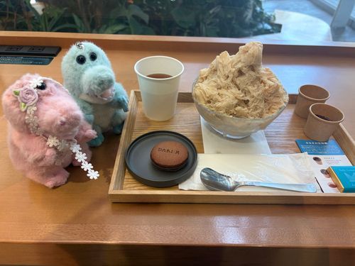 かき氷を食べたね
チョコレートソース苦くてびっくりして、自分のだけスタッフが砂糖入れ忘れたのかと思ったらカカオ100%だったね