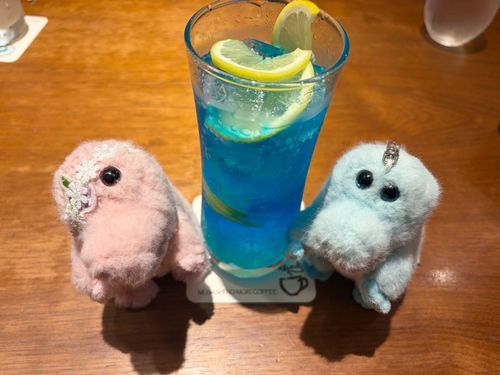 拙者夜勤オツカレ
今日も夜勤がんばりましょう