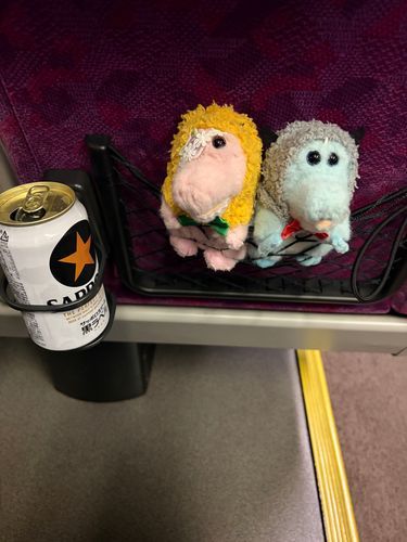 普通に飲みすぎた
ワーリーを連れ回した