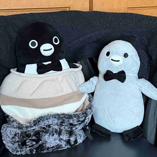 お湯加減どう？
まあまあかな〜