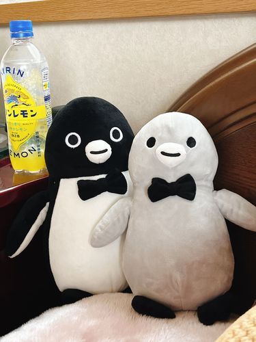 そばにいるよ〜