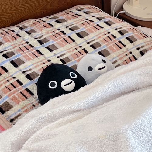 暖かくなってくると
なんとなく不調なのは、
冬の疲れがじんわりぶり返してくるから
かもね