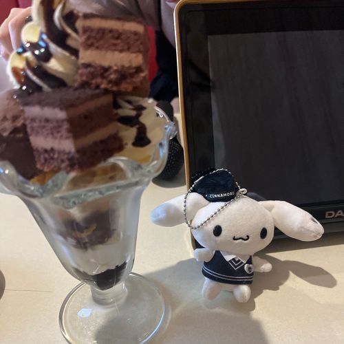カラオケでチョコパフェを食べたよ
